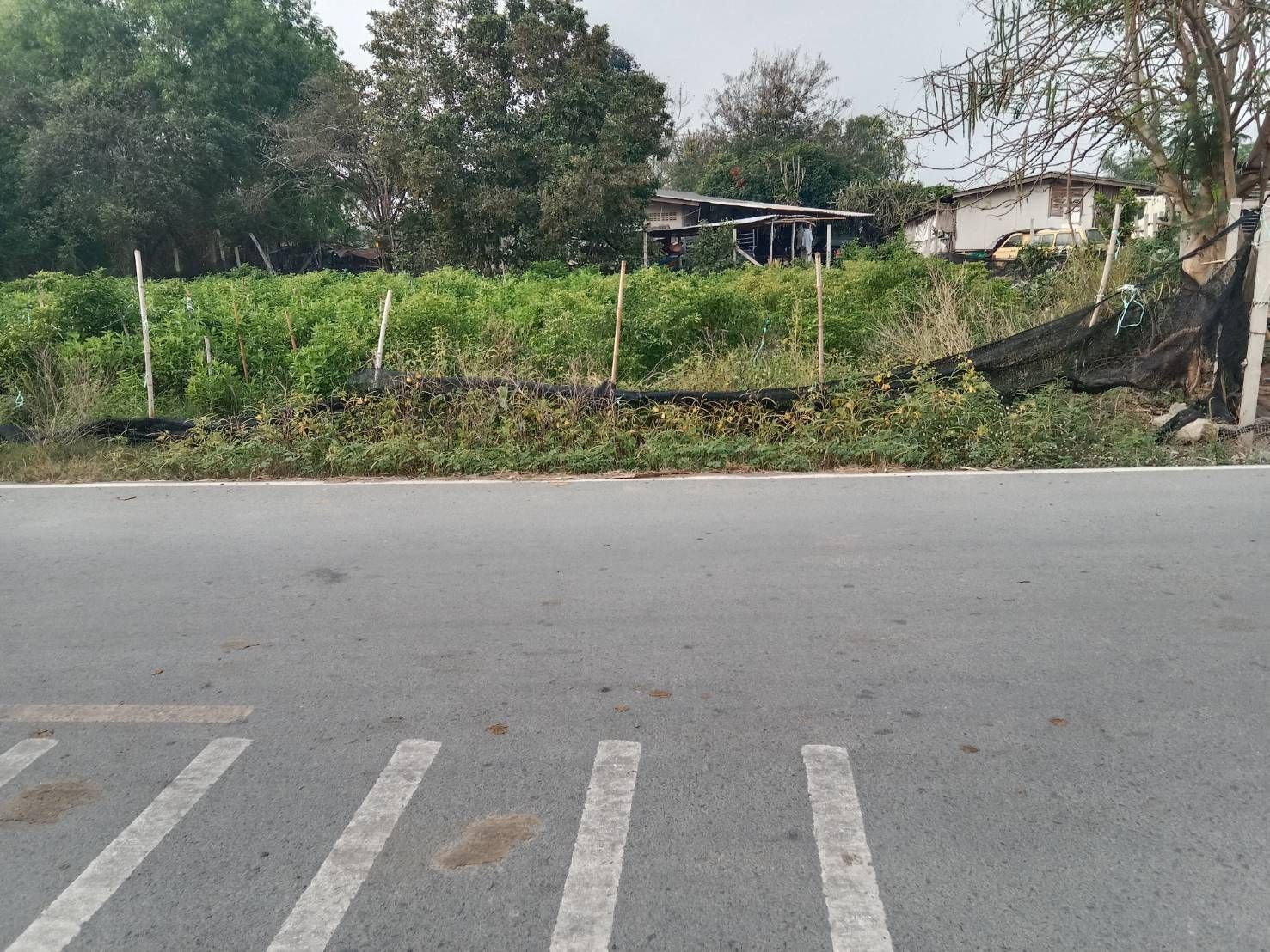 ขายที่ดิน กำแพงแสน นครปฐม ด้านหน้าติดถนน อยู่ในแหล่งชุมชน