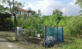 ขายที่ดิน ที่เปล่า เมืองสมุทรปราการ