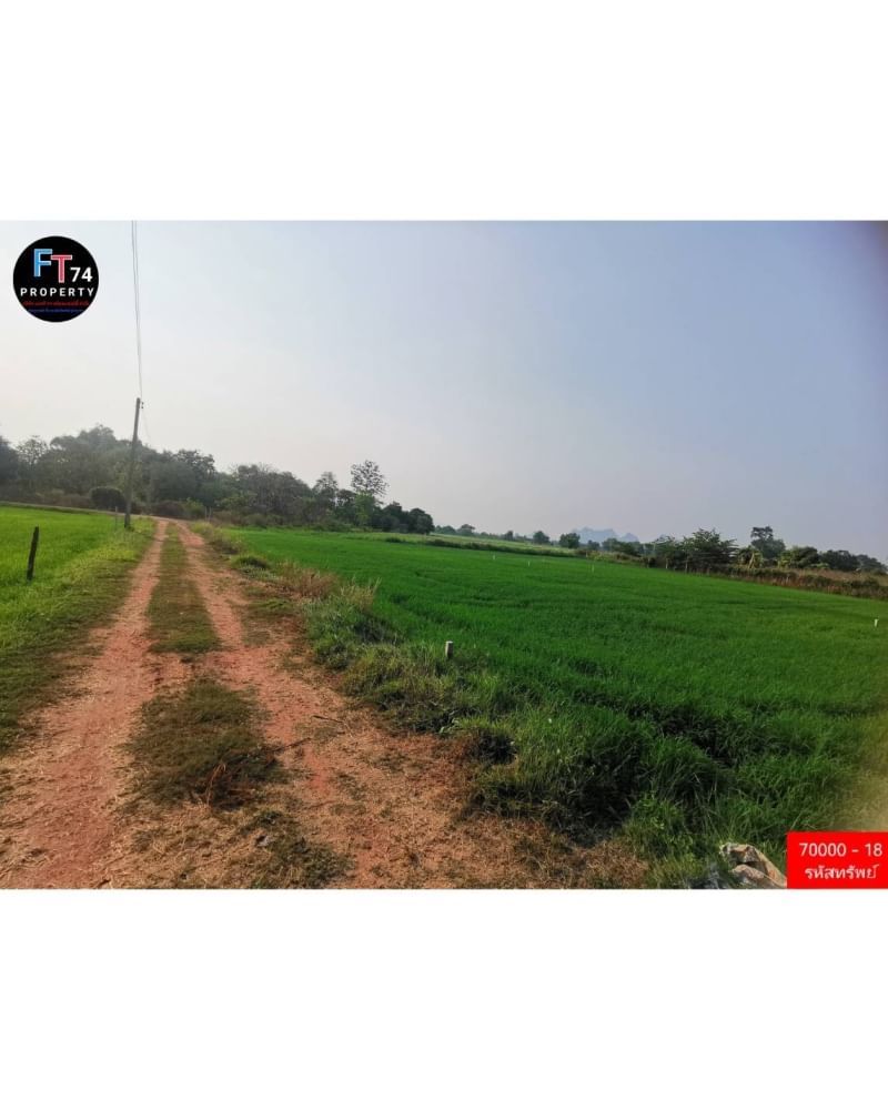 70000-18 ขายที่ดินแปลงสวย ท่ามกลางธรรมชาติ