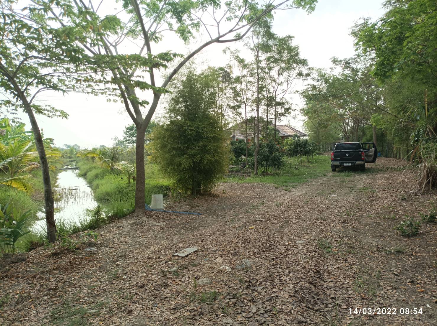 ขายที่ดินเชียงใหม่ พร้อมสิ่งปลูกสร้าง ต.หนองแก๋ว อ.หางดง จ.เชียงใหม่ 15-3-29 ไร่