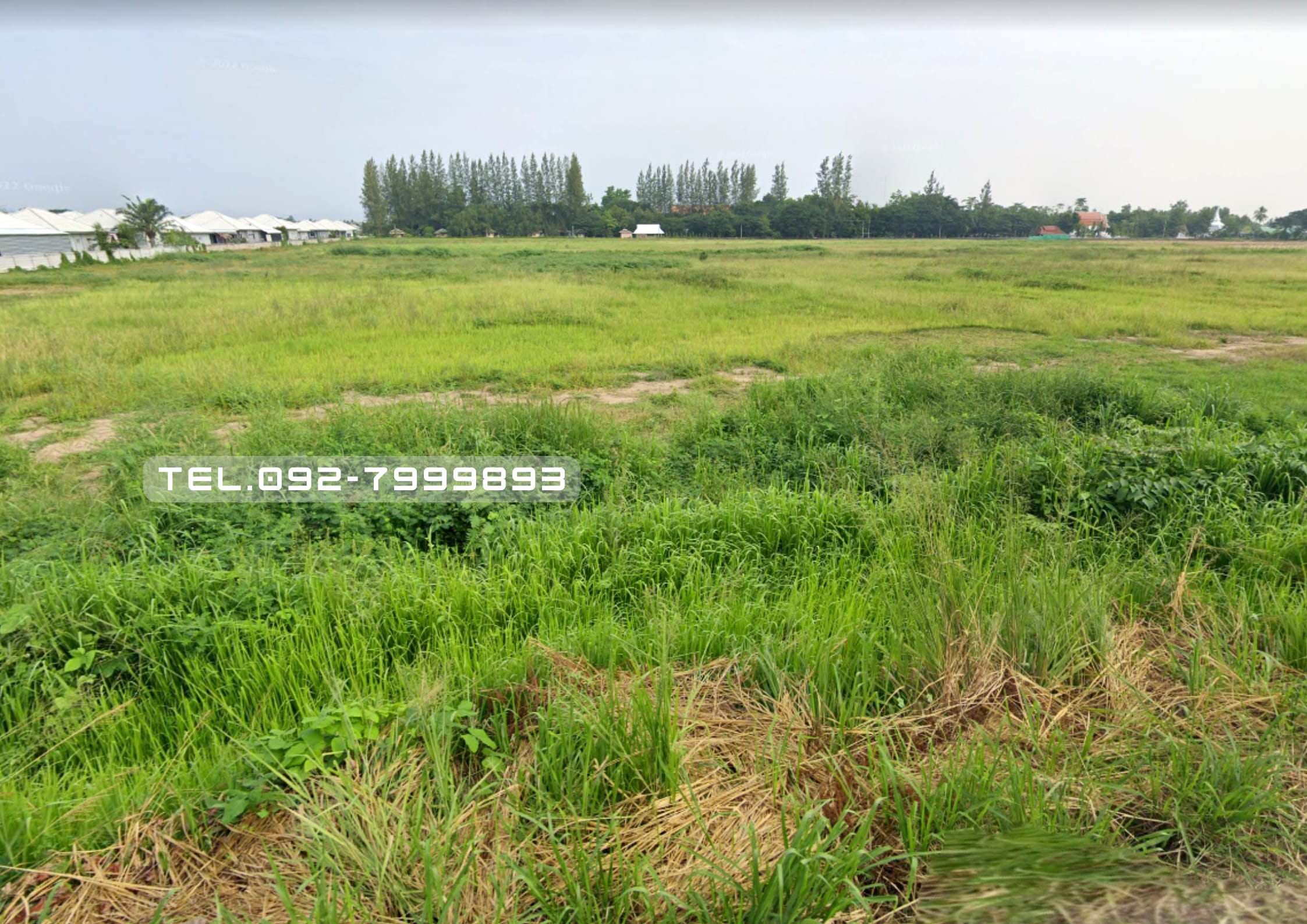 ขายที่ดิน 79 ไร่ ต.ต้นธง เมืองลำพูน ใกล้แม่น้ำ ใกล้แหล่งชุมชน