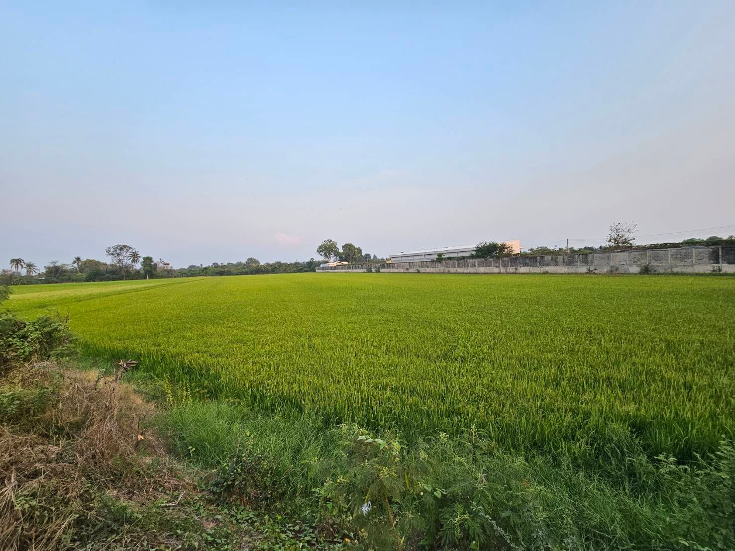 ขายที่ดินสุพรรณบุรี ที่ดินทำเลทอง ฝั่งขาเข้าเมืองเทศบาลอู่ทอง ใกล้แหล่งอำนวยความสะดวก 9-3-41 ไร่.
