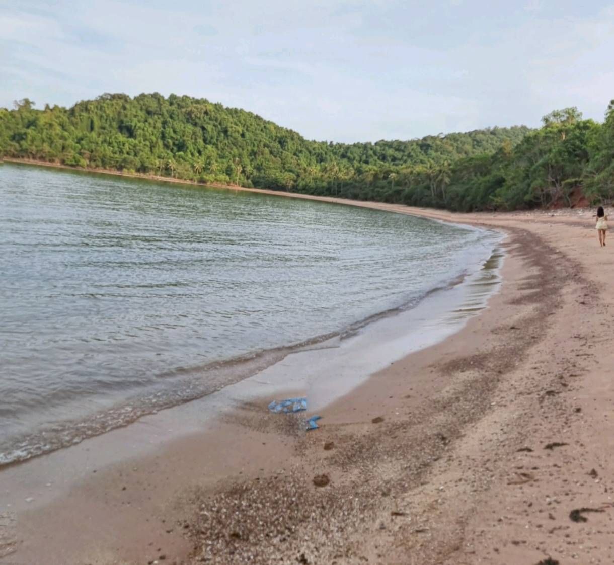 ขายที่ดินติดทะเล ผาแดง ต.หาดทรายรี จ.ชุมพร