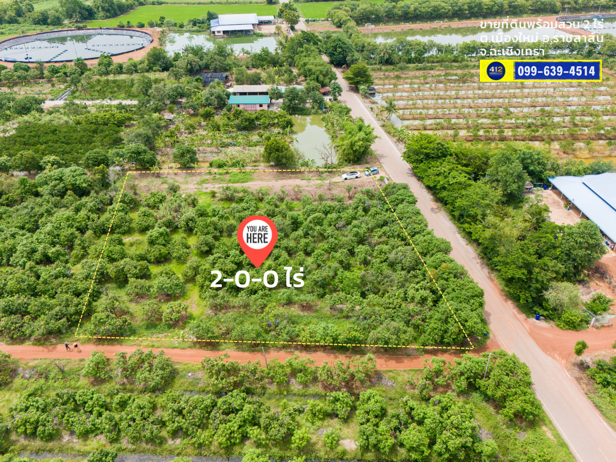 ขายที่ดิน 2 ไร่พร้อมสวน บรรยากาศดี น้ำ-ไฟพร้อม ต.เมืองใหม่ อ.ราชสาส์น จ.ฉะเชิงเทรา 
