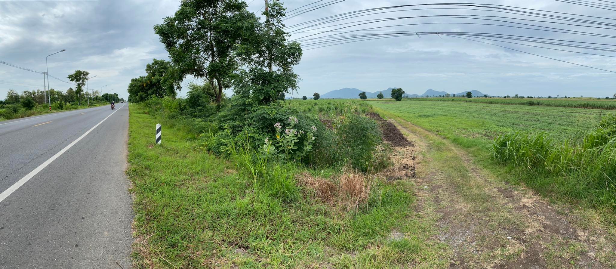 ที่ดินเปล่า เมืองนครสวรรค์ 33-1-20