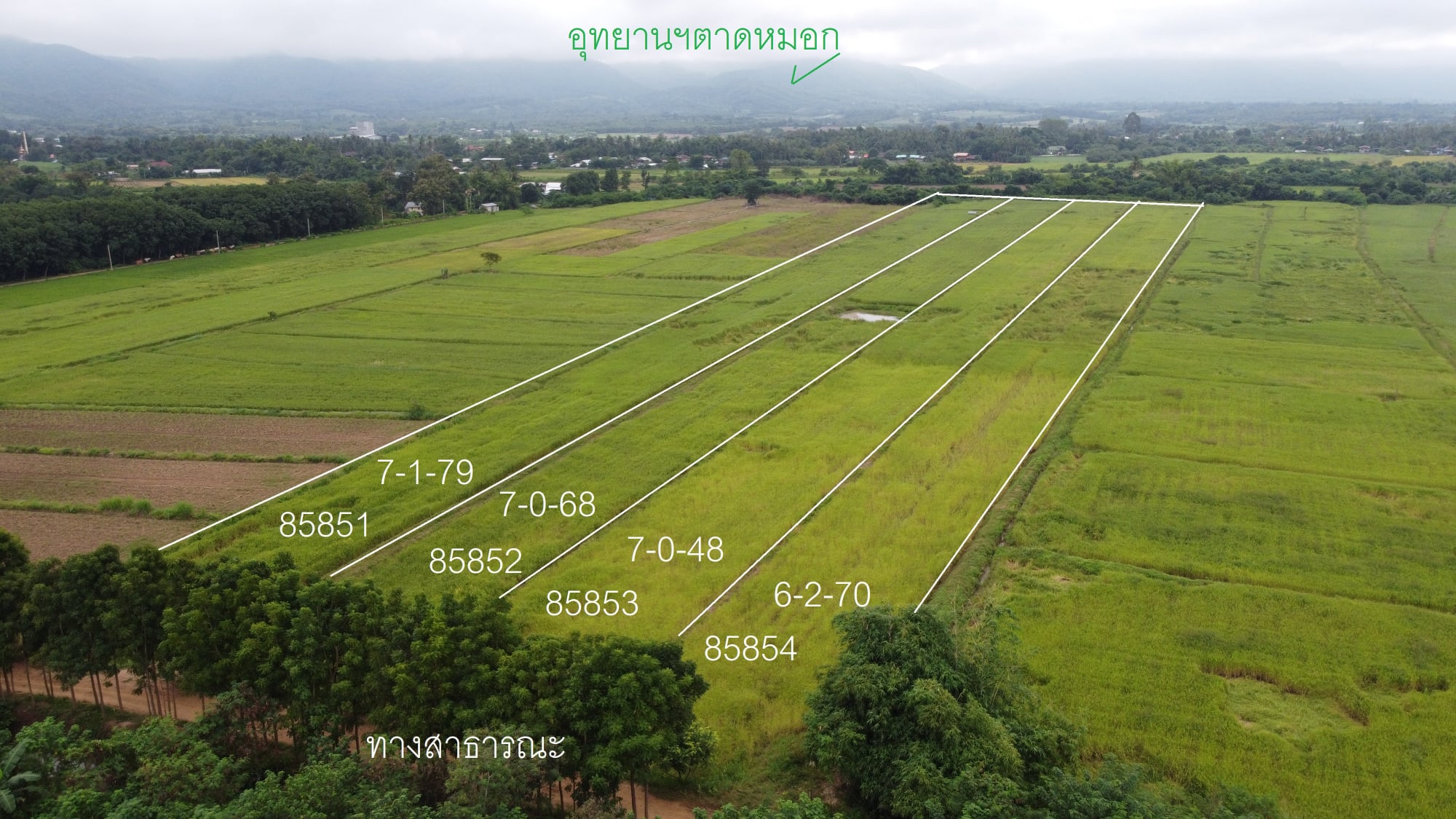 ที่ดินเปล่า เมืองเพชรบูรณ์ 7-0-48 ไร่