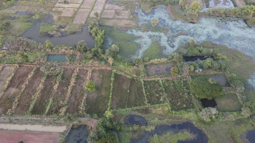 ที่ดิน บ้านหนองนาไฮ.สุมเส้า.อำเภอ เพ็ญ.จังหวัดอุดรธานี 18-0-51
