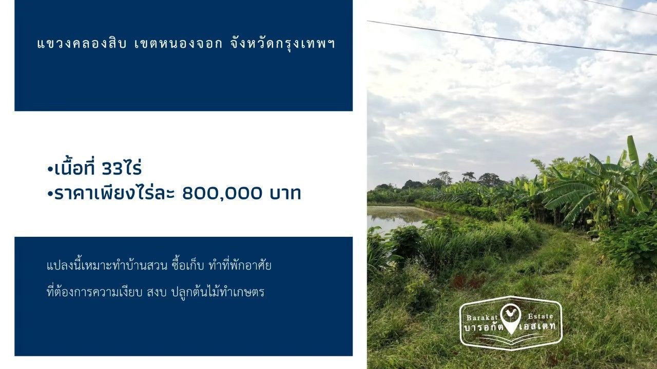 ขายที่ดินหนองจอง กทม. แปลงสวย ราคาสุดพิเศษ