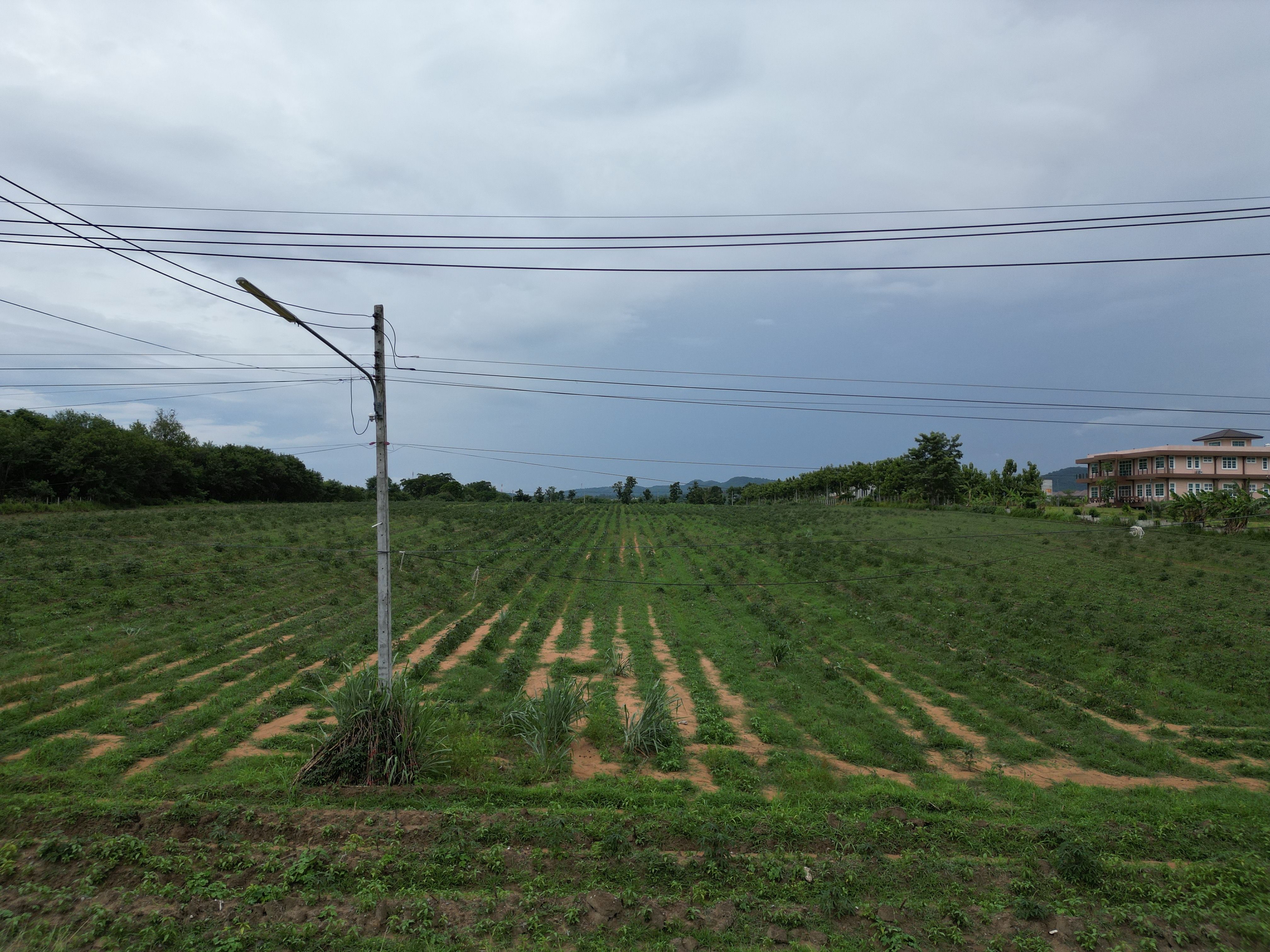 ที่ดิน ต.หนองสาหร่าย อ.ปากช่อง
