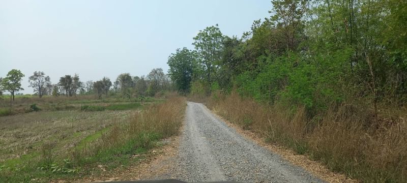 ที่นาท้ายบ้าน หนองบัวลำภู 1-2-89