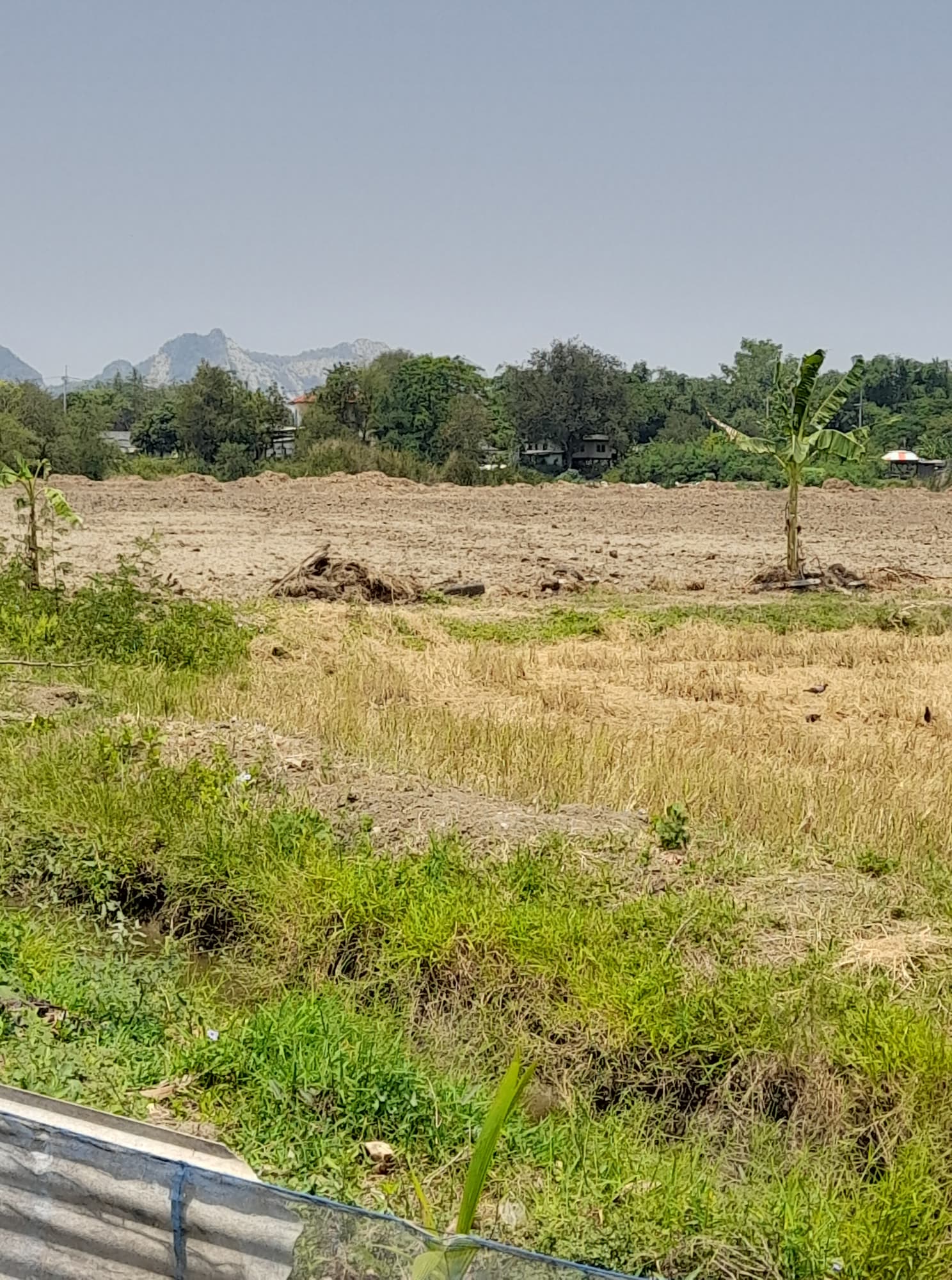 ที่ดินที่นา เมืองราชบุรี 5-2-80