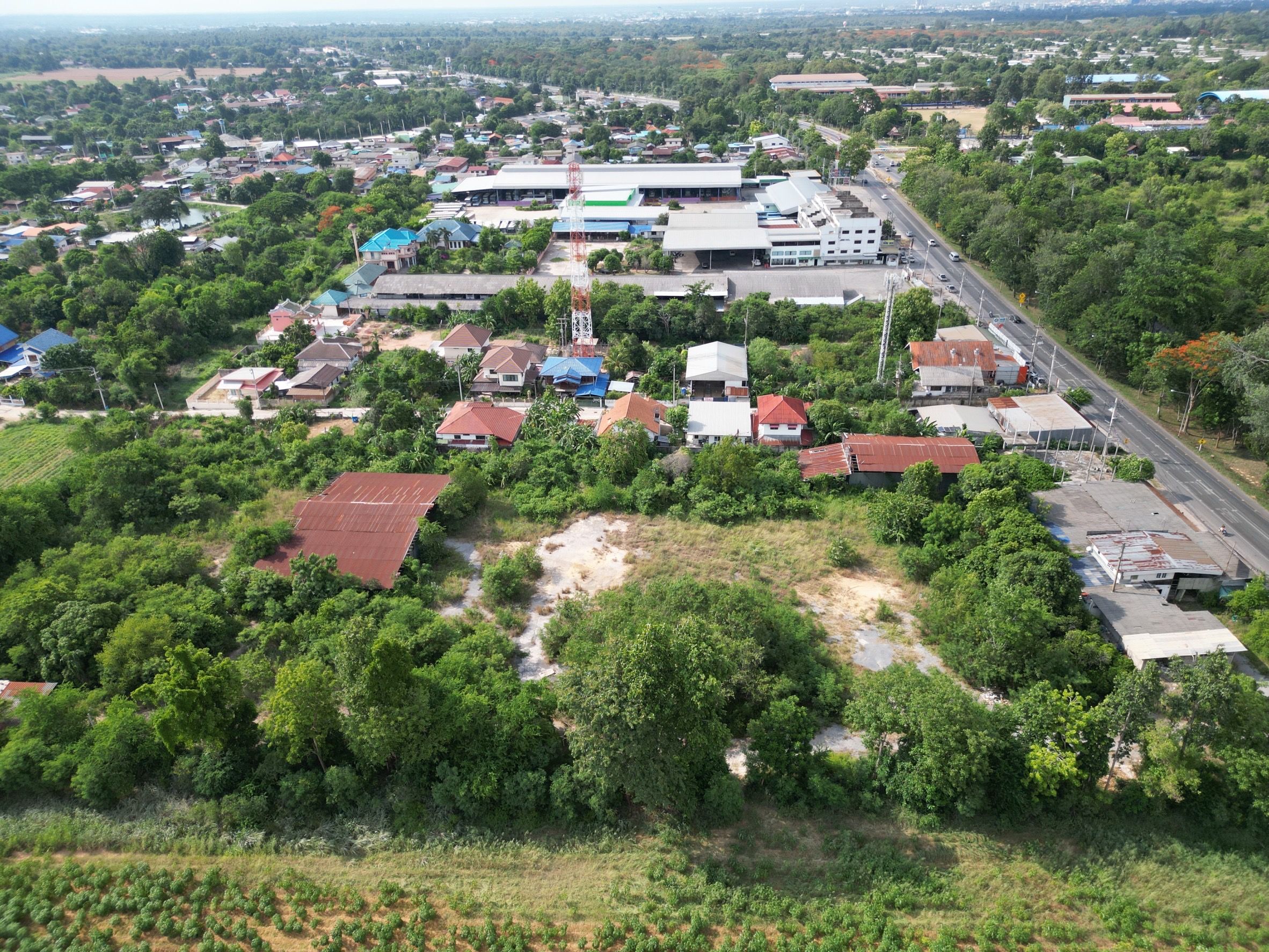 ที่ดินติดถนน เส้น304 หน้ากว้าง 80 เมตร เหมาะทำปั้มน้ำมัน โรงบรรจุ หรือ โรงงาน ไม่ติดผังเมืองเขตป่า