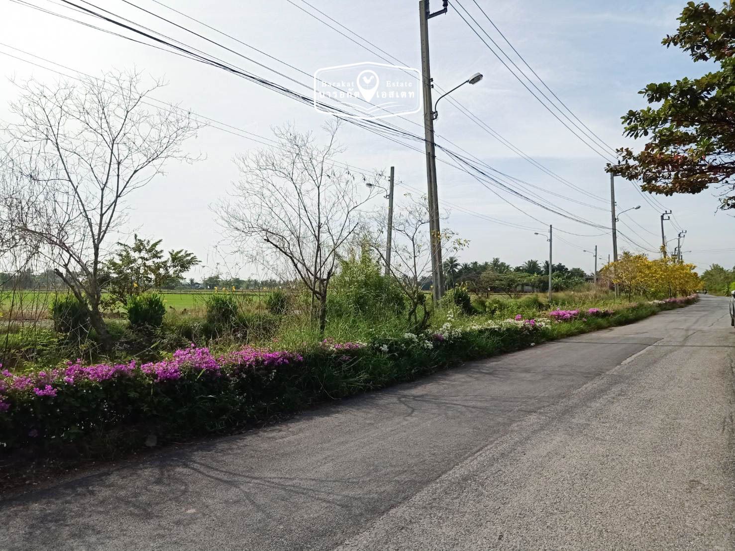 ที่ดินติดคลอง เดินทางสะดวก เขตหนองจอก  จังหวัดกรุงเทพฯ
