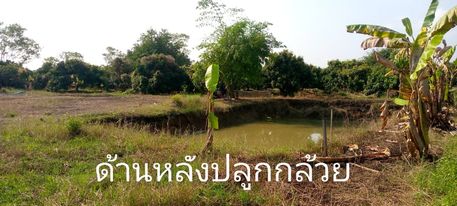 ที่ดิน 1 งาน หางดง เชียงใหม่