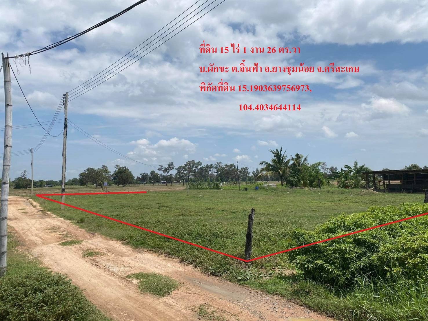 ที่ดินแปลงใหญ่ ยางชุมน้อย ศรีสะเกษ 15-1-26