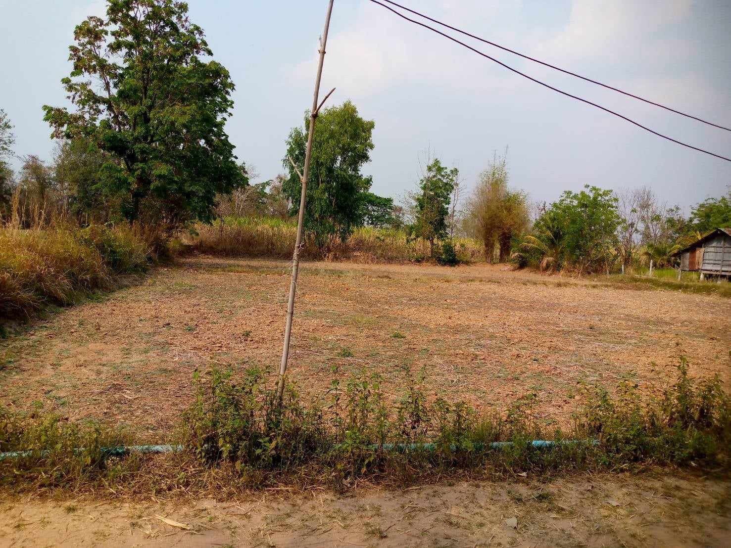 ขายที่ดินหนองบัวลำพู ที่ดินแปลงสวย ติดถนนสาธารณะ น่าลงทุนมาก เมืองหนองบัวลำภู 4-3-55 ไร่.