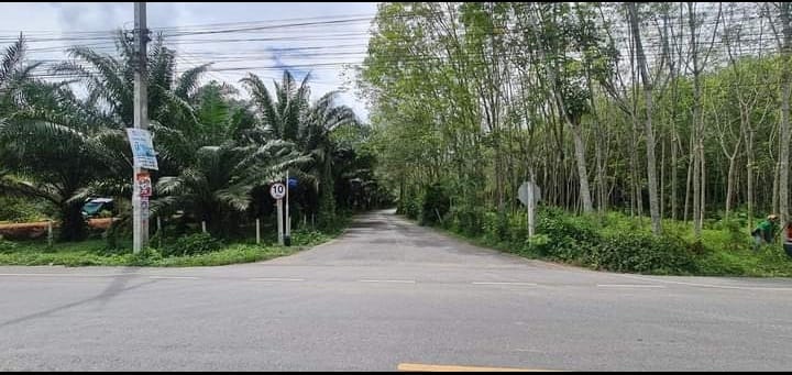 ที่ดินถนนศรีรัตนะ ควนลัง หาดใหญ่