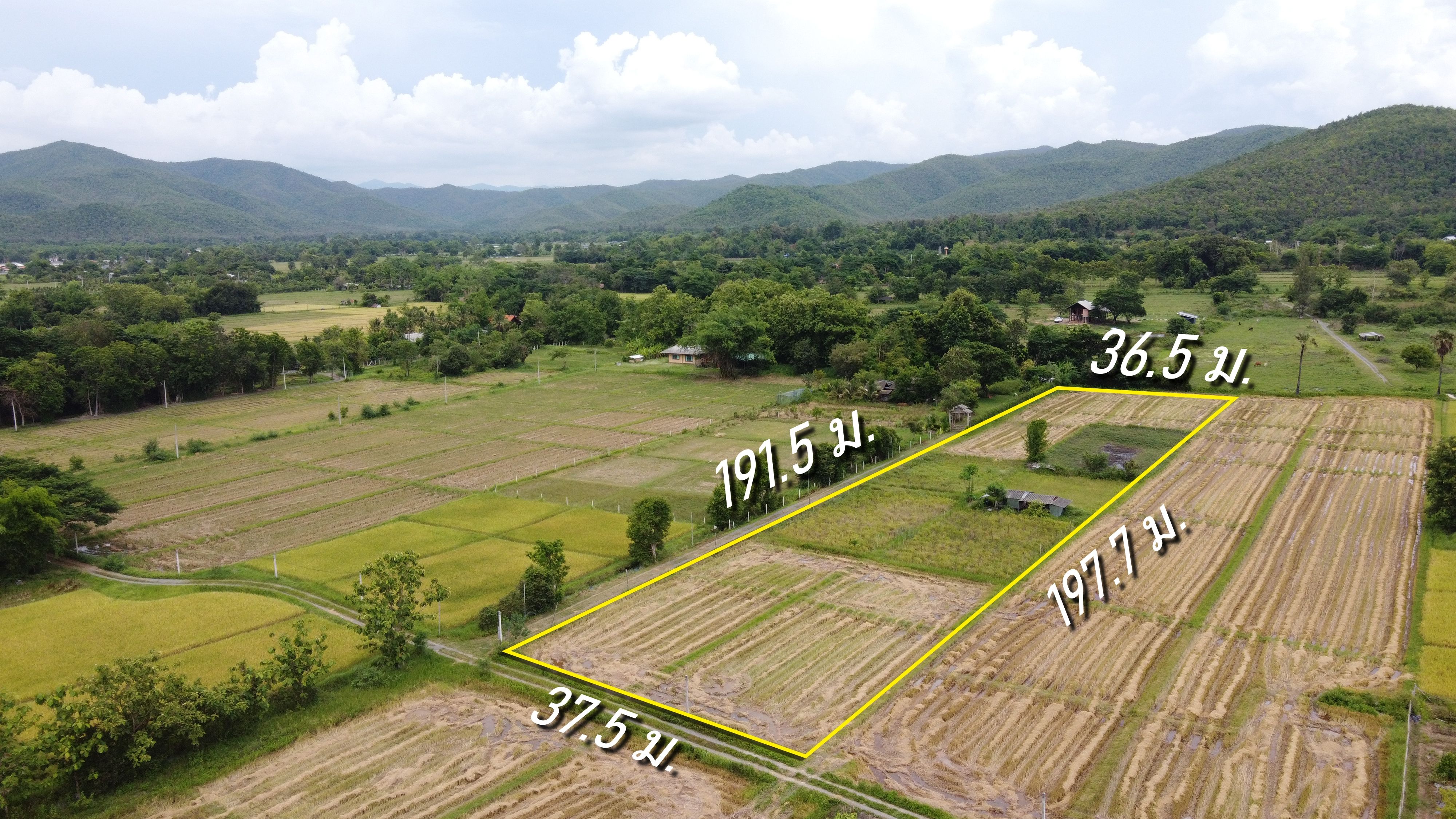 ขายที่ดินเชียงใหม่ สันกำแพง ที่นา 4-1-64.3 ไร่ น้ำไฟฟ้าพร้อม ถูกที่สุดในสันกำแพง ร้อนเงิน