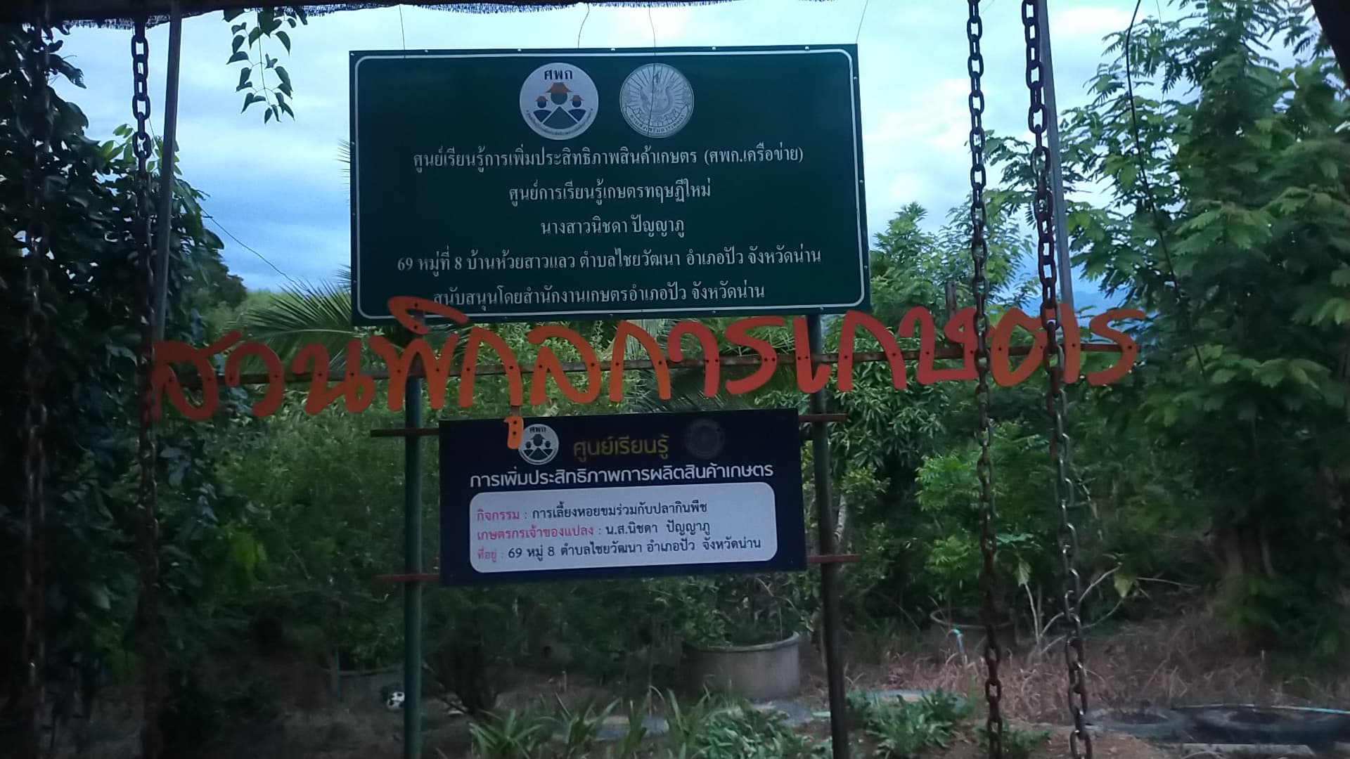 ที่ดินพร้อม(สวนพิกุลการเกษตร) น่าน 15-2-84
