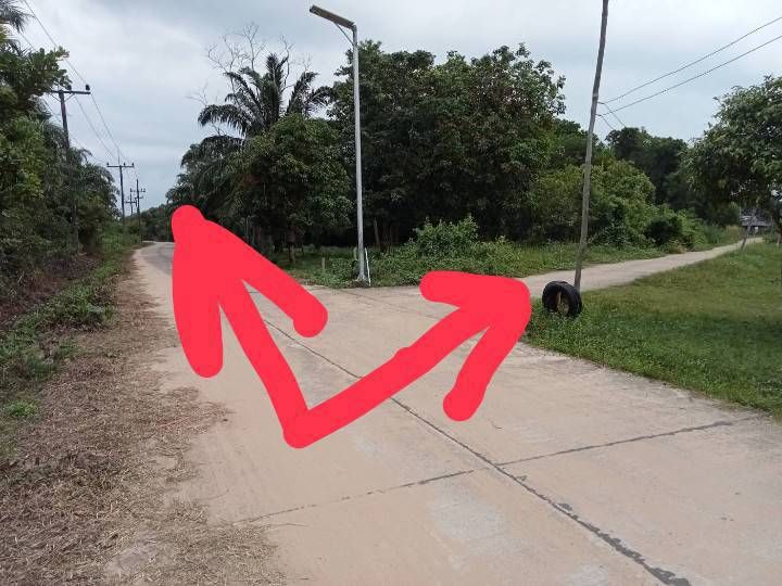 ขายที่ดินห่างชายหาด500เมตร เกาะยาวใหญ่ ราคาถูก