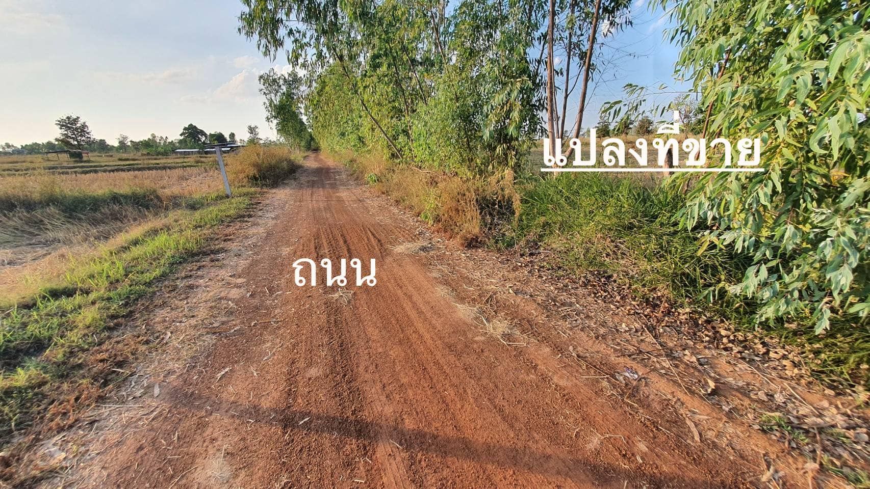 ขายที่ดินใกล้เส้นเลี่ยงเมือง อ.สว่างแดนดิน จ.สกลนคร
