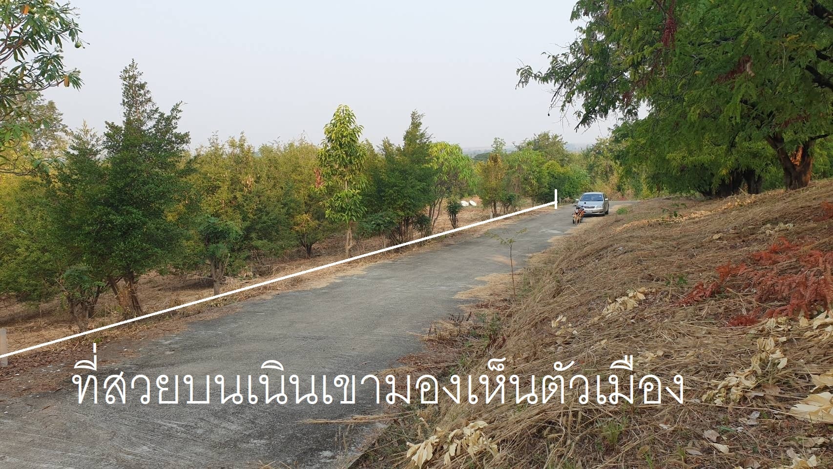 ที่ดินสวนมะขามหวาน เพชรบูรณ์ 1-0-30