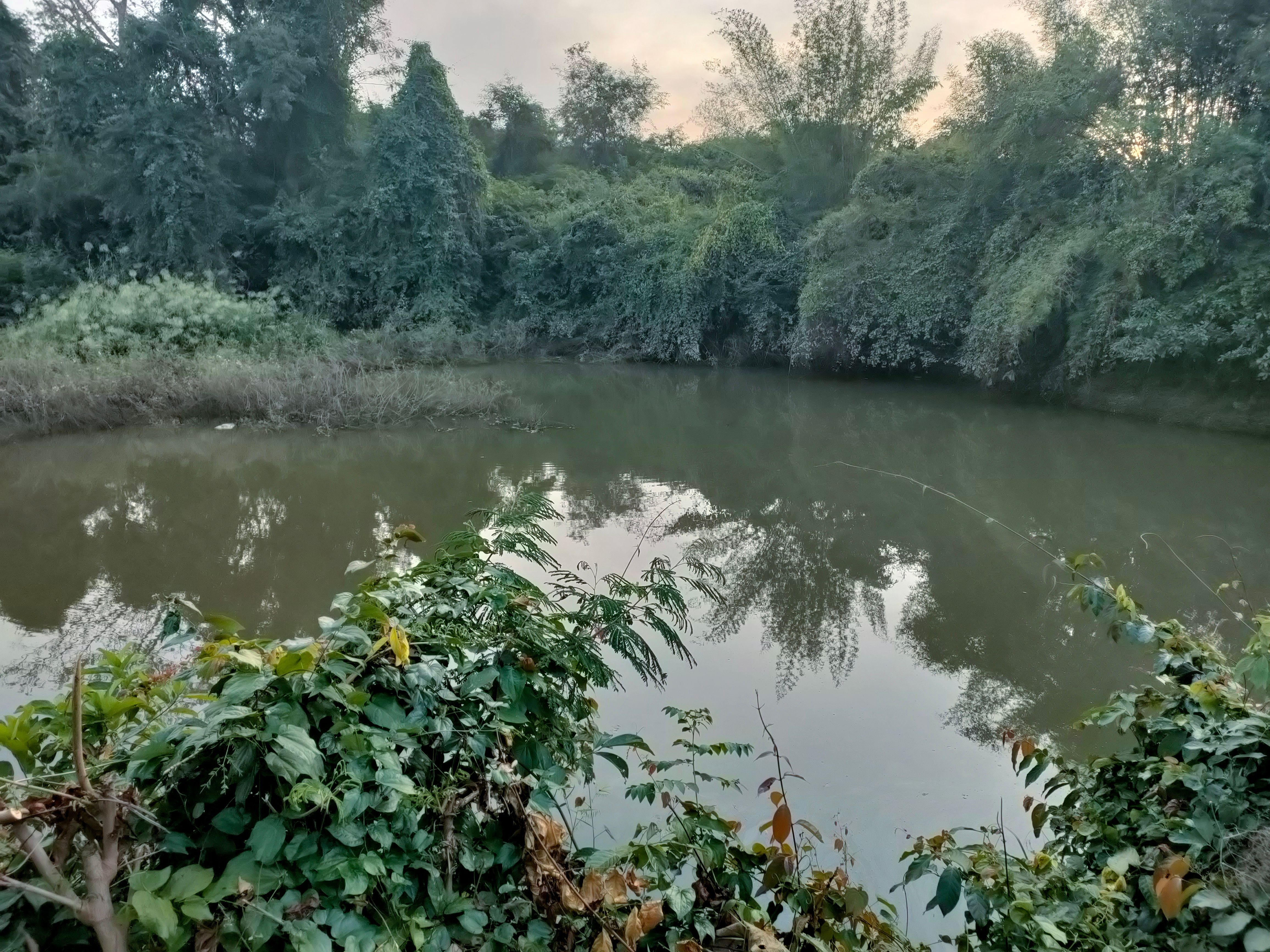 ขายที่ดินปราจีนบุรี กบินทร์บุรี  8 ไร่ 