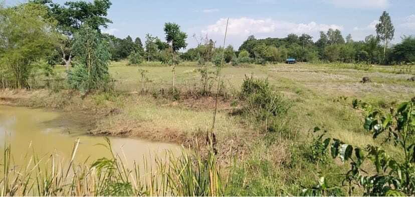 ที่ดินเปล่า อ.ภูเวียง จ.ขอนเเก่น 8-2-23ไร่