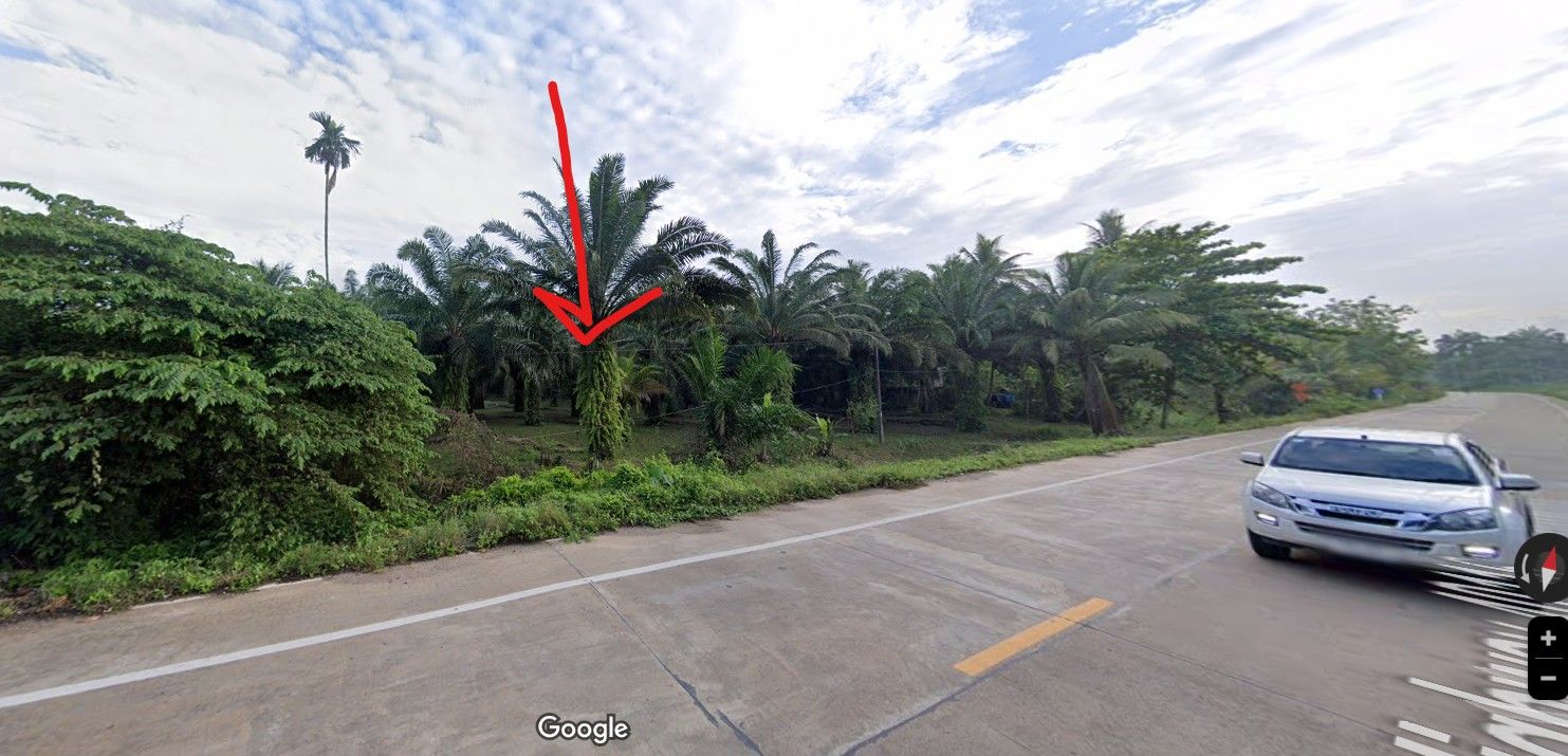 ขายที่ดิน อ.เมืองสุราษฎร์ธานี จ.สุราษฎร์ธานี 6-1-90.5 ไร่