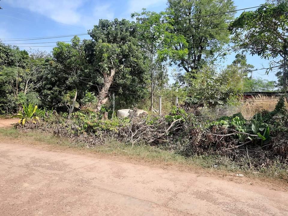 ขายที่ดิน อุบลราชธานี 122 ตรว.