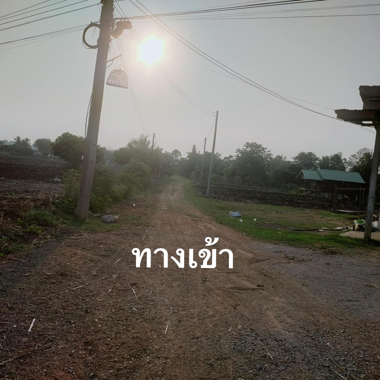 ขายที่ดินนครราชสีมา อำเภอเมือง 