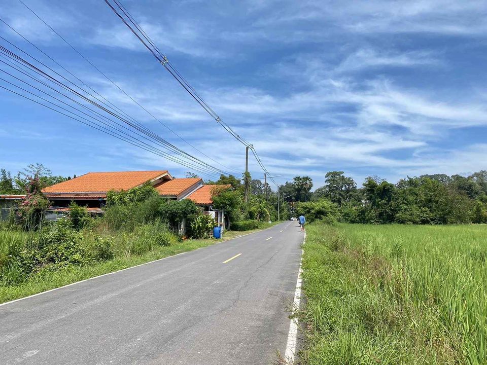 ขายที่ดิน ปราจีนบุรี 3 งาน