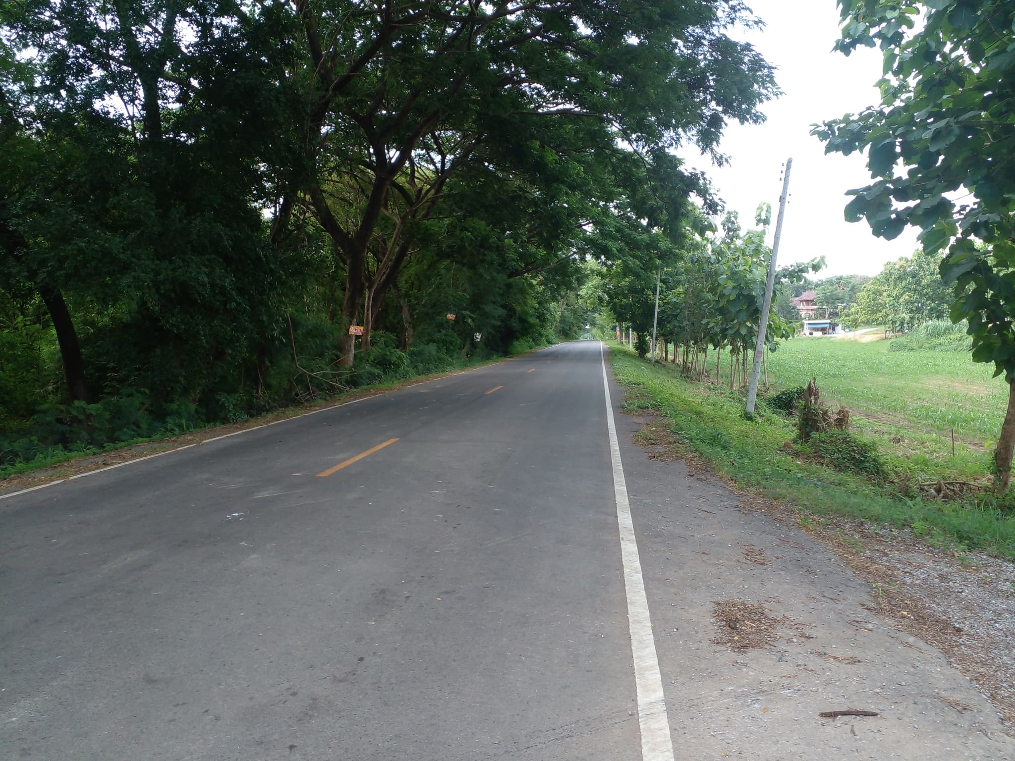 ขายที่ดินเปล่าแปลงใหญ่ เมืองเพชรบูรณ์ 96-1-31