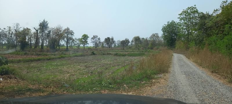 ที่นาท้ายบ้าน หนองบัวลำภู 1-2-89
