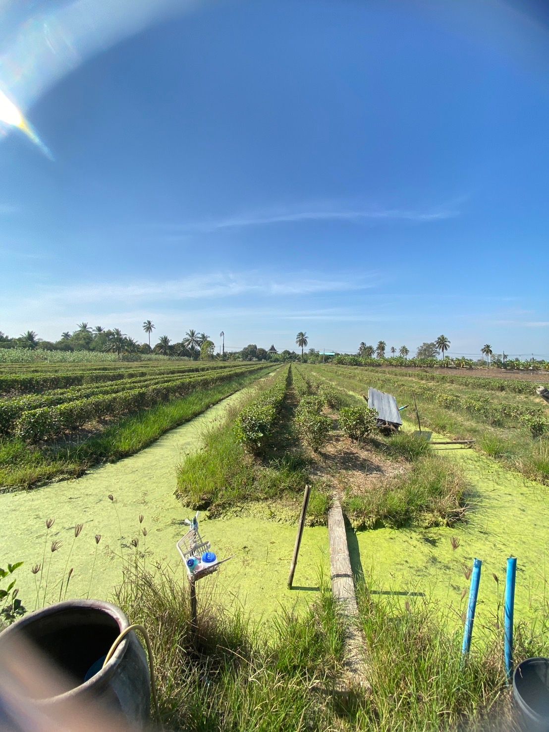 ขายที่ดินนครชัยศรี ราคาคุ้มที่สุดในย่านนี้ รีบขาย ไม่แพง