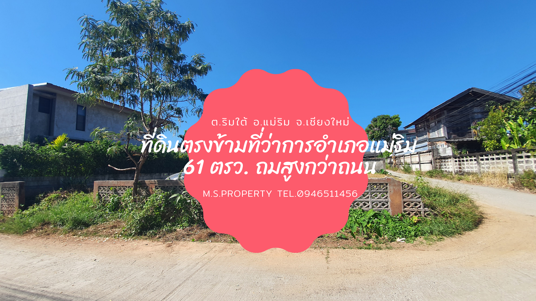 ขายที่ดินถมแล้ว แปลงมุม 61 ตรว. หลังตลาดแม่ริม อ.แม่ริม จ.เชียงใหม 