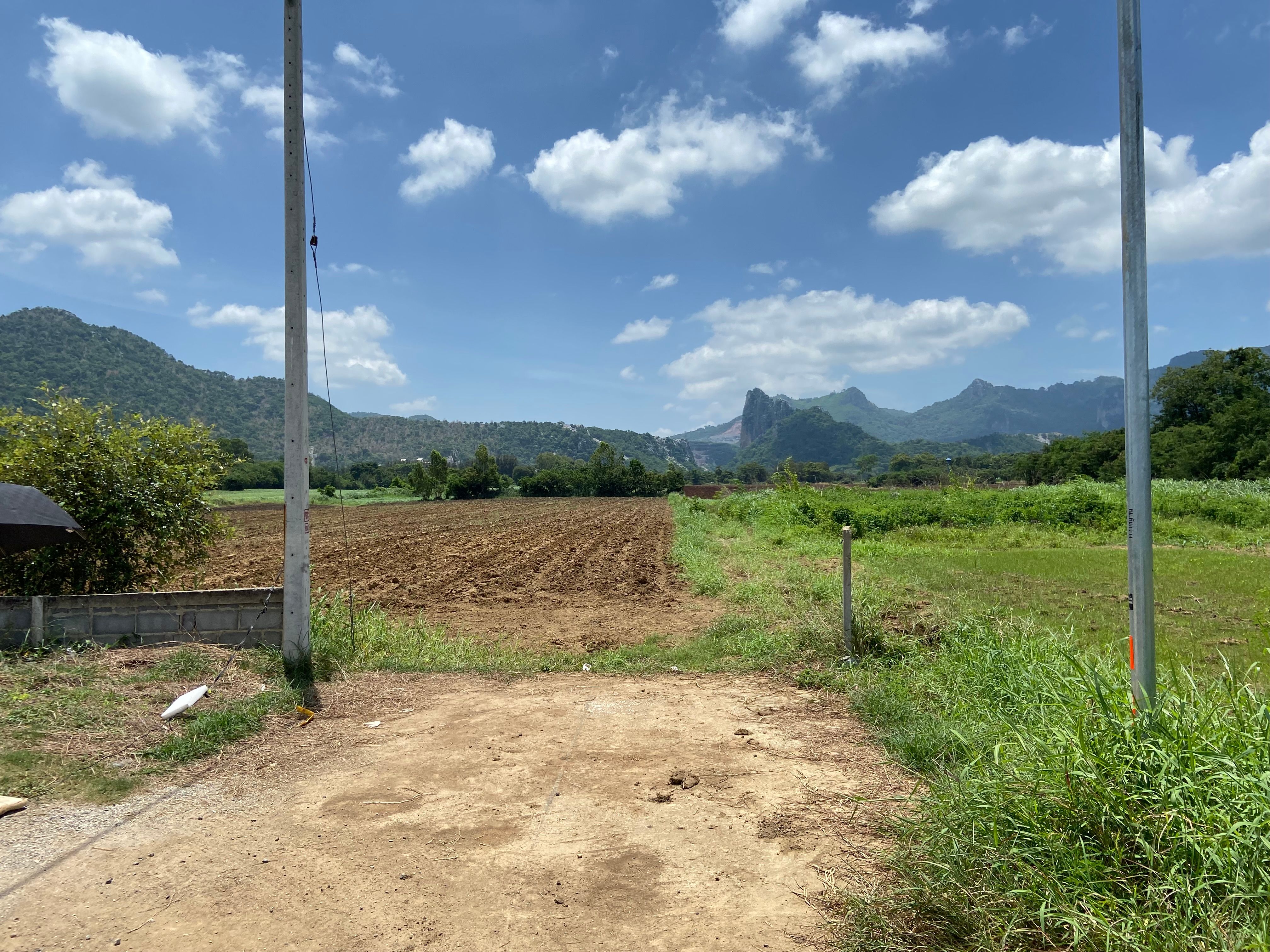 ที่ดินเปล่า วิวเขาใหญ่⛰️