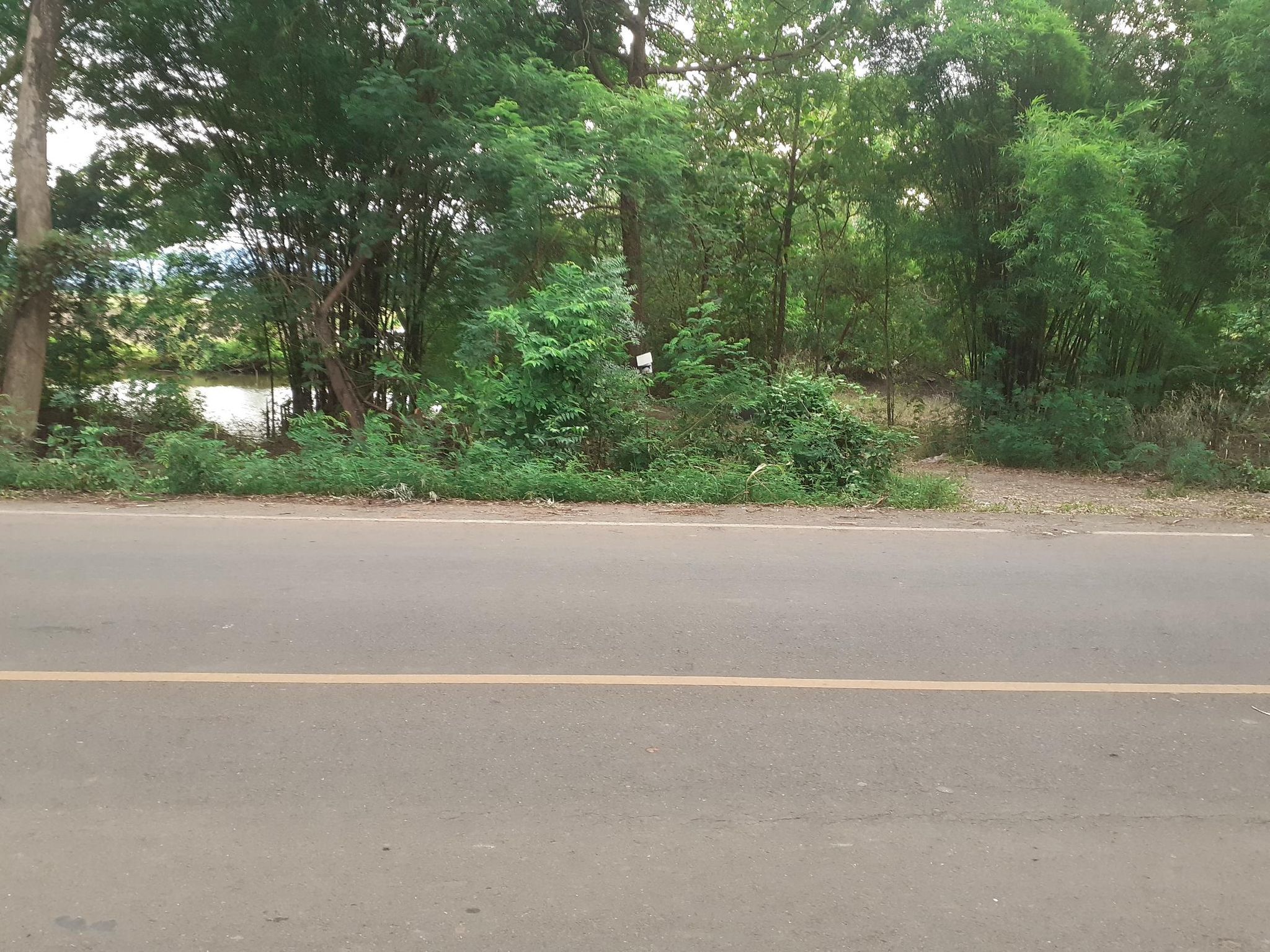 ขายที่ดินเปล่า เมืองเพชรบูรณ์ 6-0-70.1