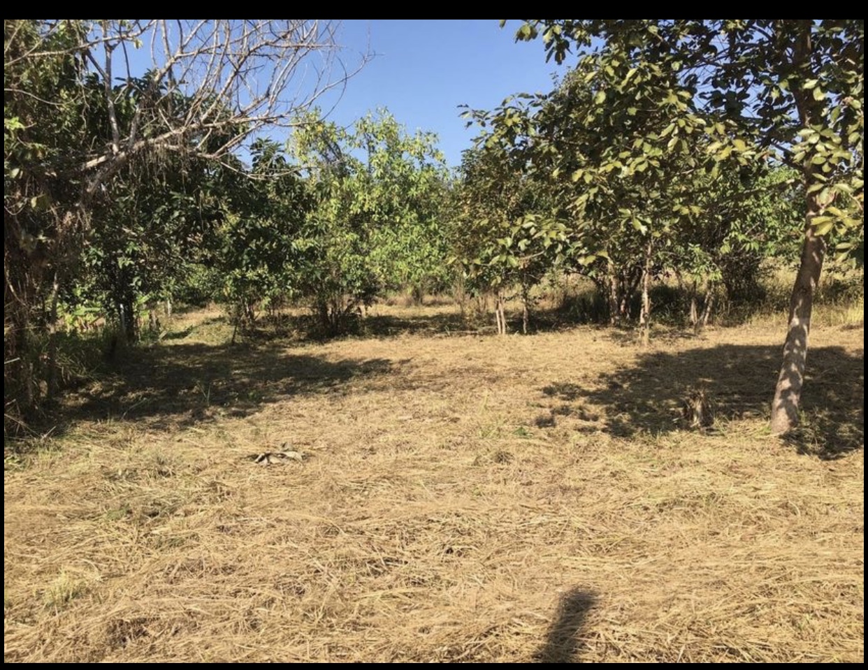 ที่ดินเปล่า ติดสถานที่ราชการ สันทราย เชียงใหม่ 92.8