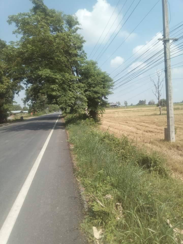 ที่ดินเปล่า ที่นา เมืองพิษณุโลก 5-0-0