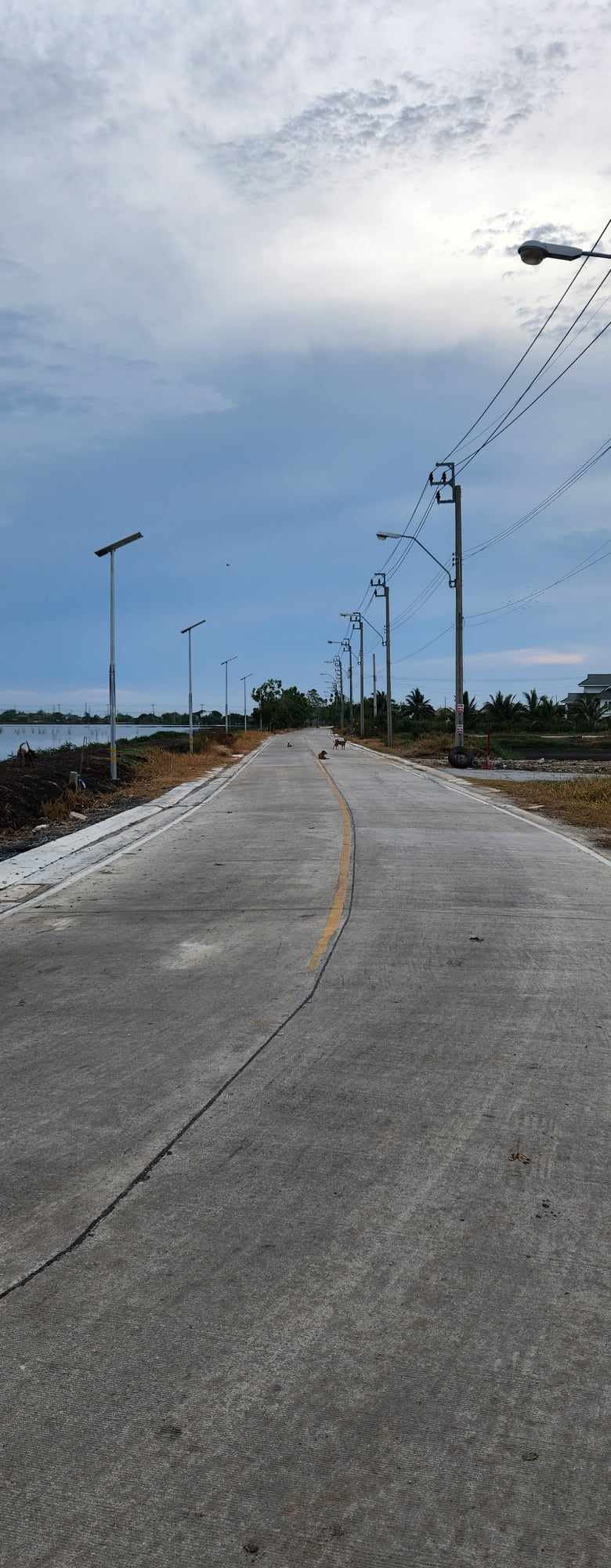 ที่ดิน 49 ไร่ 2 งาน 70 ตรว.ที่ดินเหมาะแก่การพัฒนาจัดสรรหมู่บ้าน โกดัง หรือซื้อเก็บ