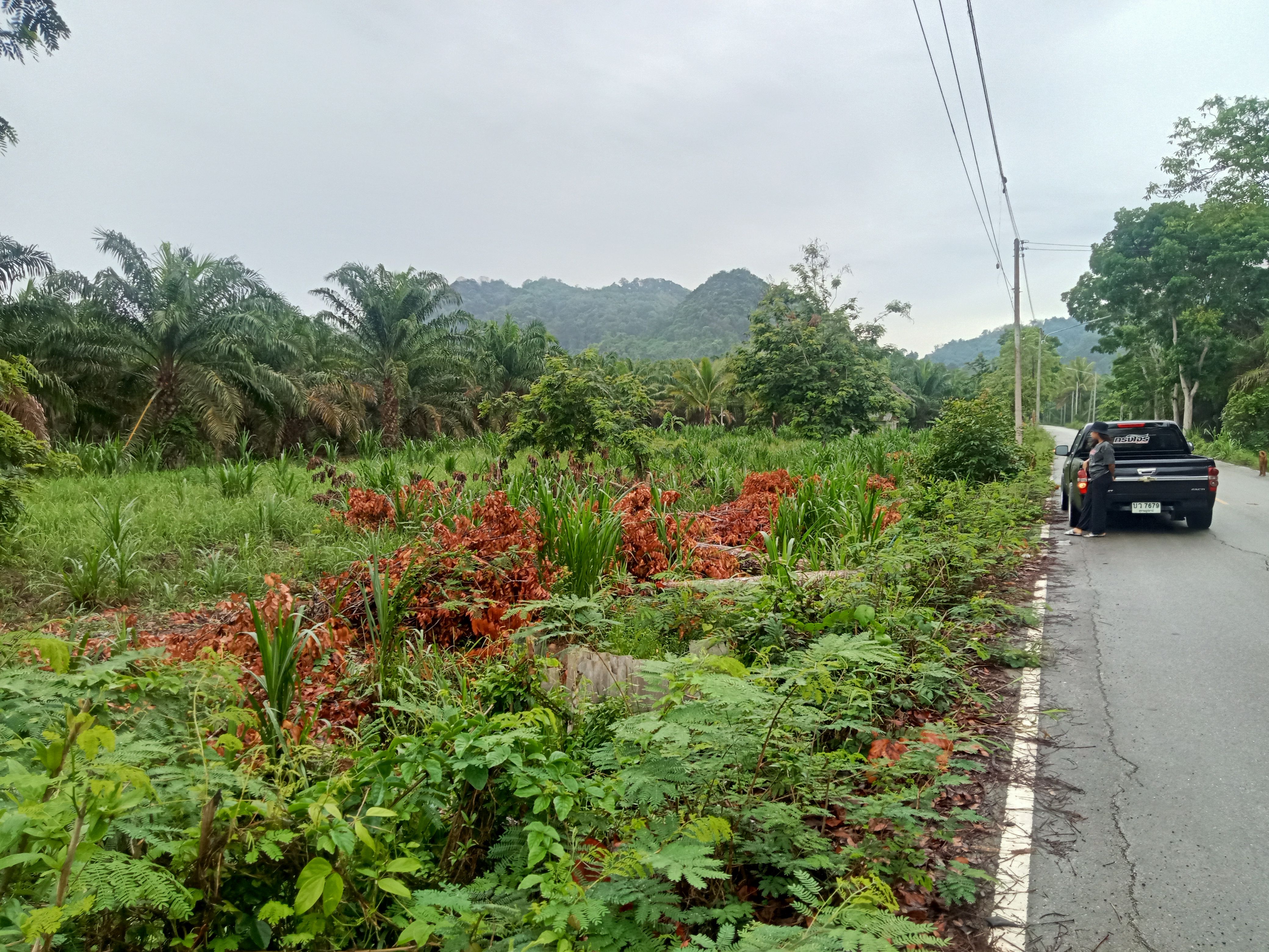 ขายที่ดิน