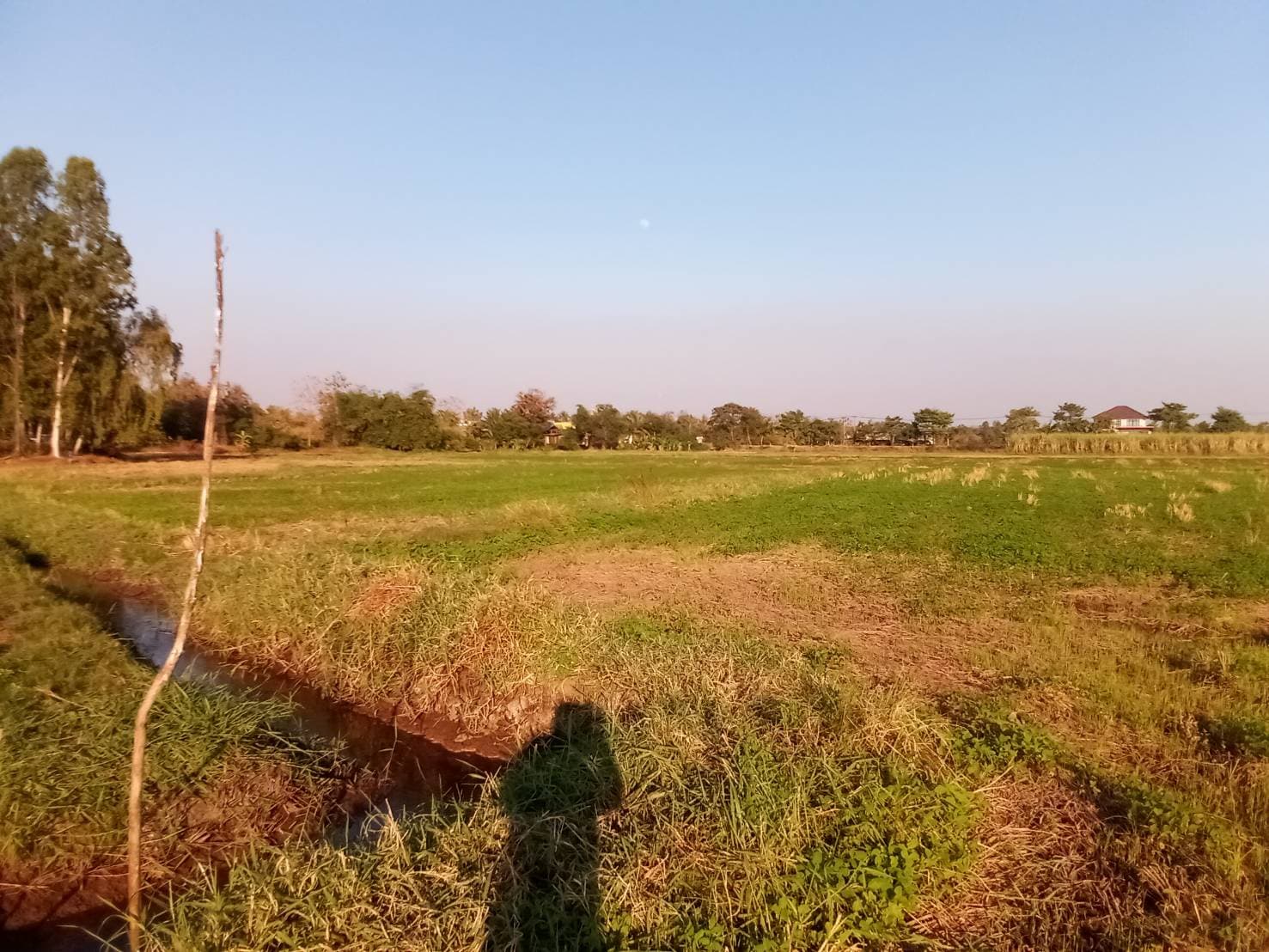 ที่ดินเปล่า ภูผาน่าน ขอนแก่น 6-2-80