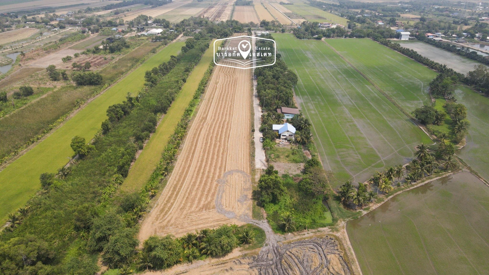 ที่สวย หน้ากว้างติดถนน เขตหนองจอก กรุงเทพฯ