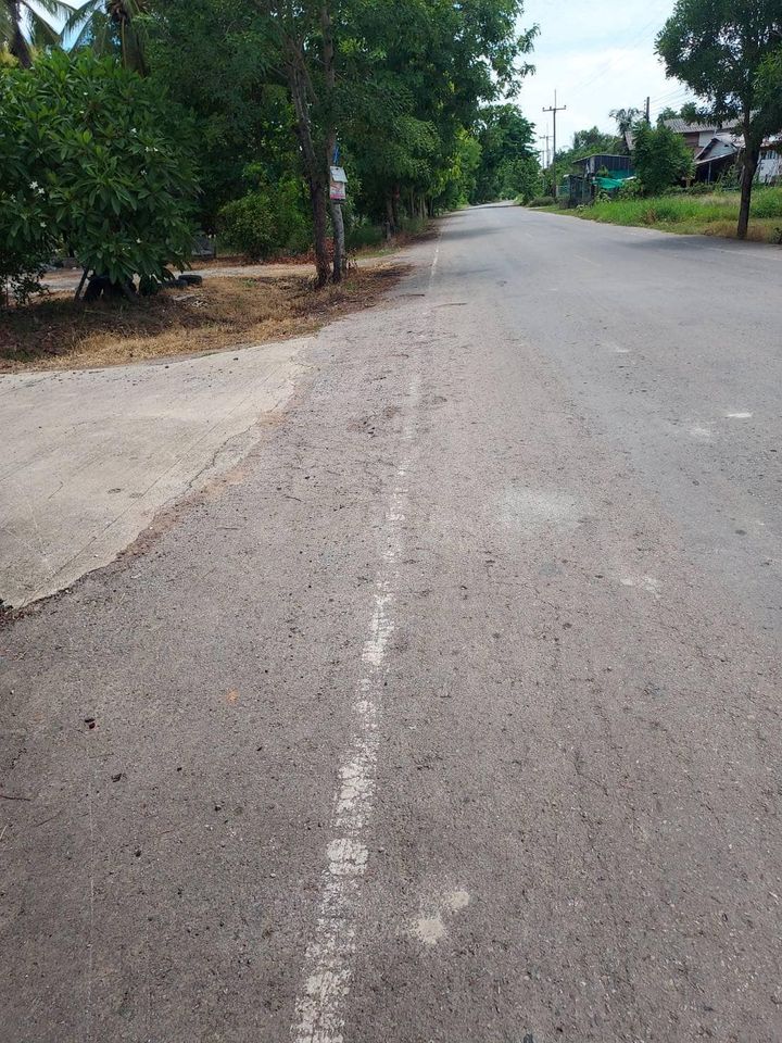 ขายที่ดินเปล่า ขนาดกำลังดี อ.เมืองพิษณุโลก 1 ไร่