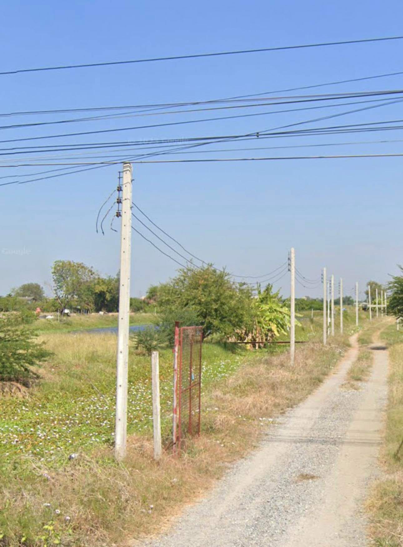 ที่ดินผัง EEC สีเหลืองอ่อน 47ไร่ บางนาตราด กม.36 จ.ฉะเชิงเทรา อ.บางปะกง ต.หนองจอก