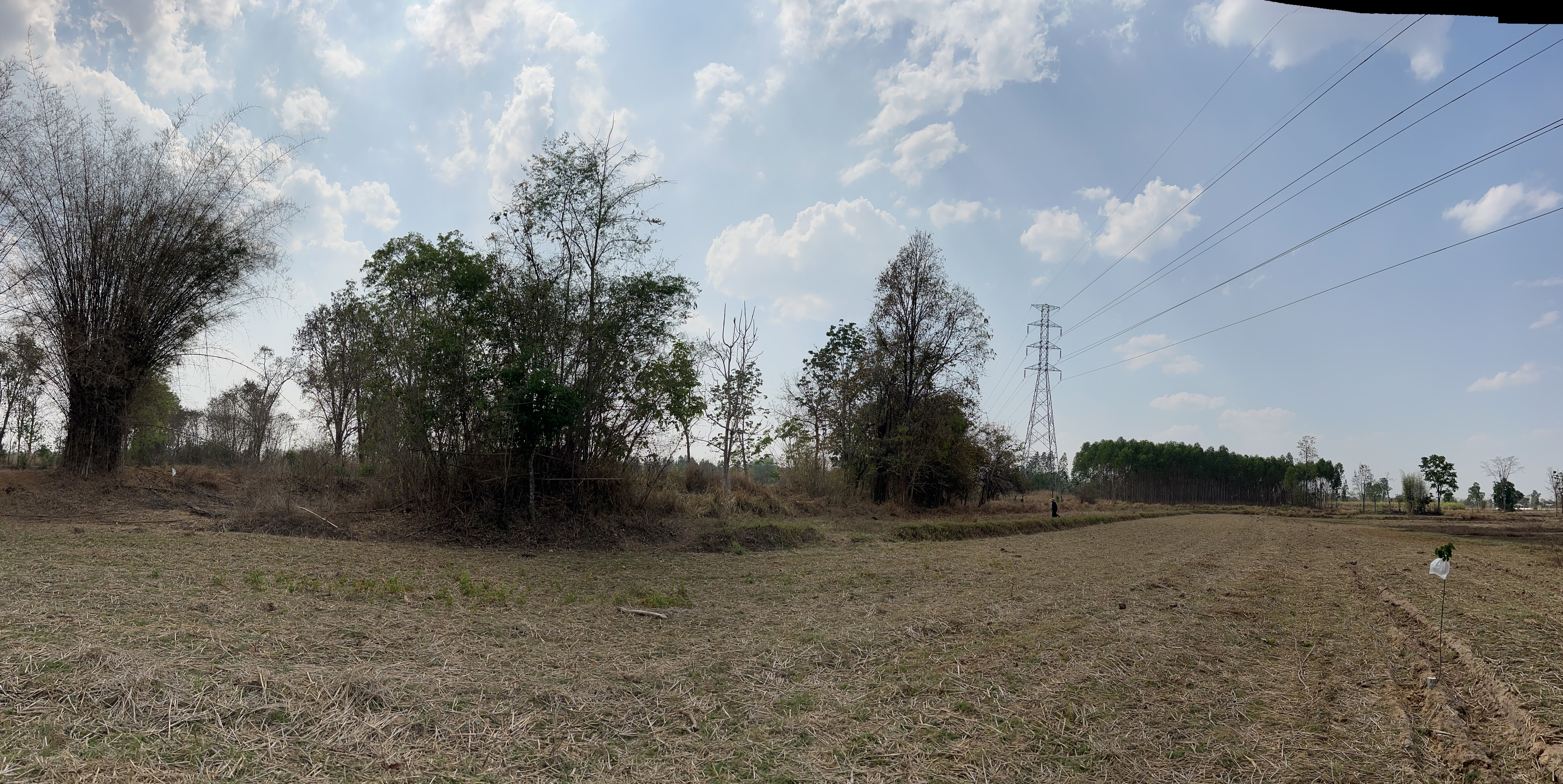 ขายที่ดินหนองบัวลำภู อำเภอนากลาง ที่นา แปลงยาวลึก ติดถนนสาธารณะ