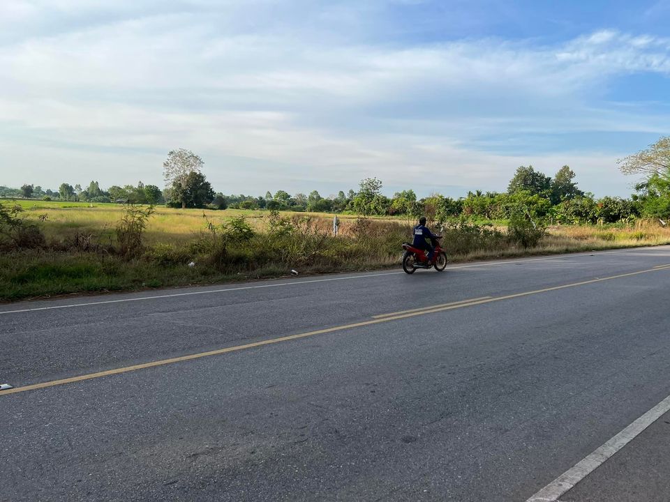 ที่ดินติดถนนหลวงแผ่นดินสายหนองเรือ- หนองแวง  ชัยภูมิ 6-0-61