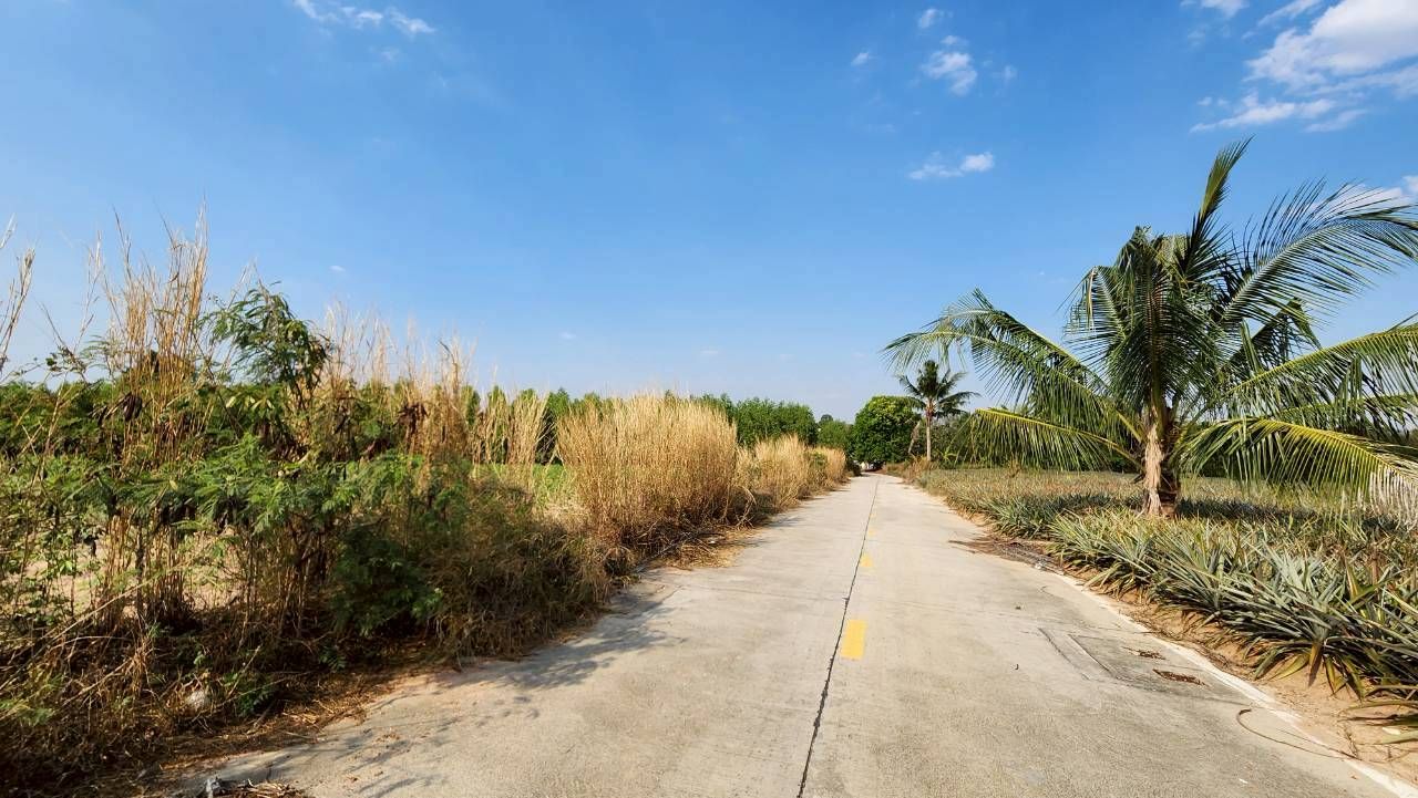 ขายที่ดิน 64 ไร่ บ่อวิน-เขาขยาย-ศรีราชา ใกล้โรงเรียนและนิคมฯ เหมาะทำหมู่บ้านจัดสรร