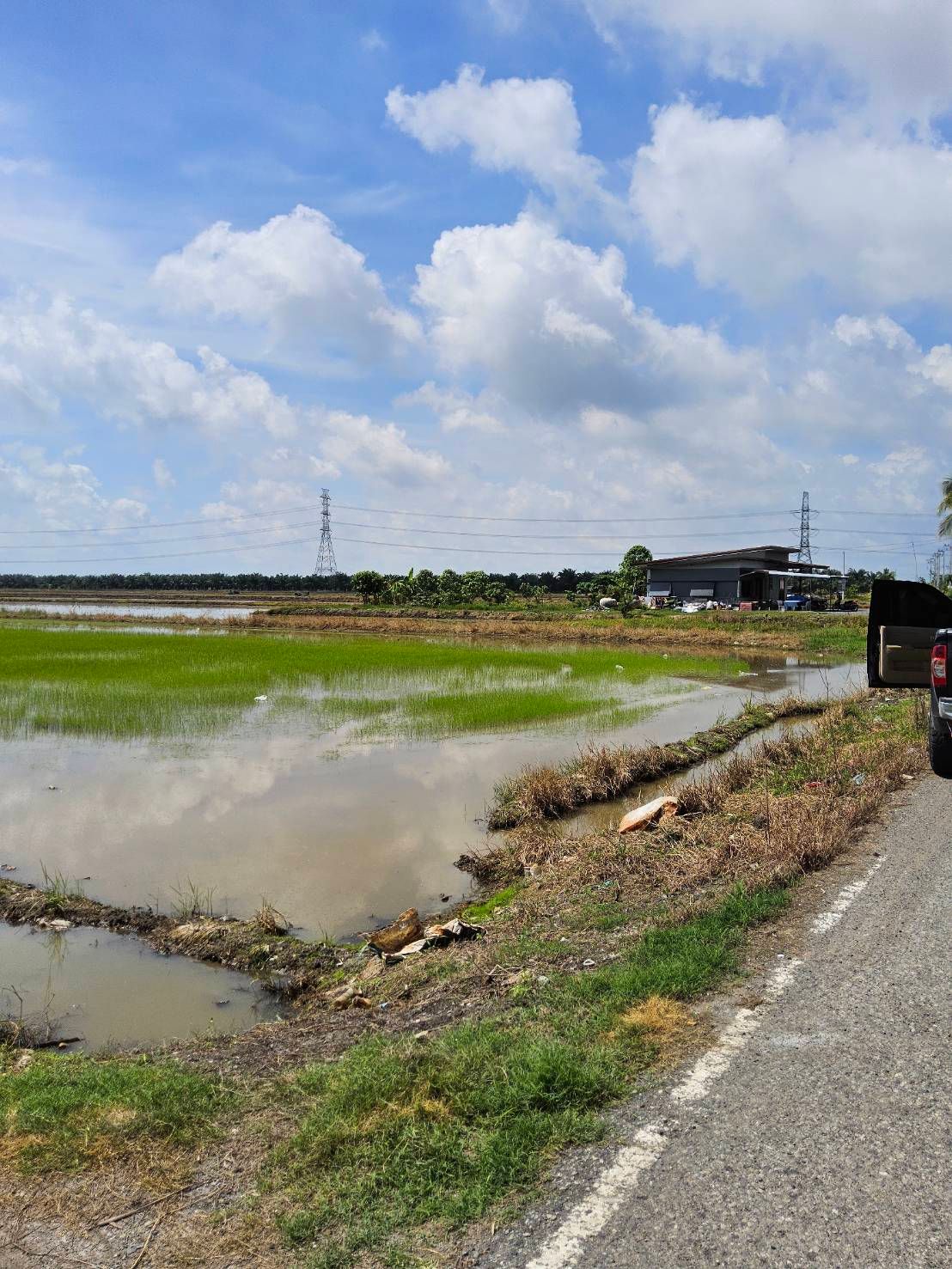 ที่ดินแปลงสวย ราคาถูกมากกกก!!! เป็นที่นาทั้งแปลง เนื้อที่ 22 ไร่ 1 งาน 75 ตรว.